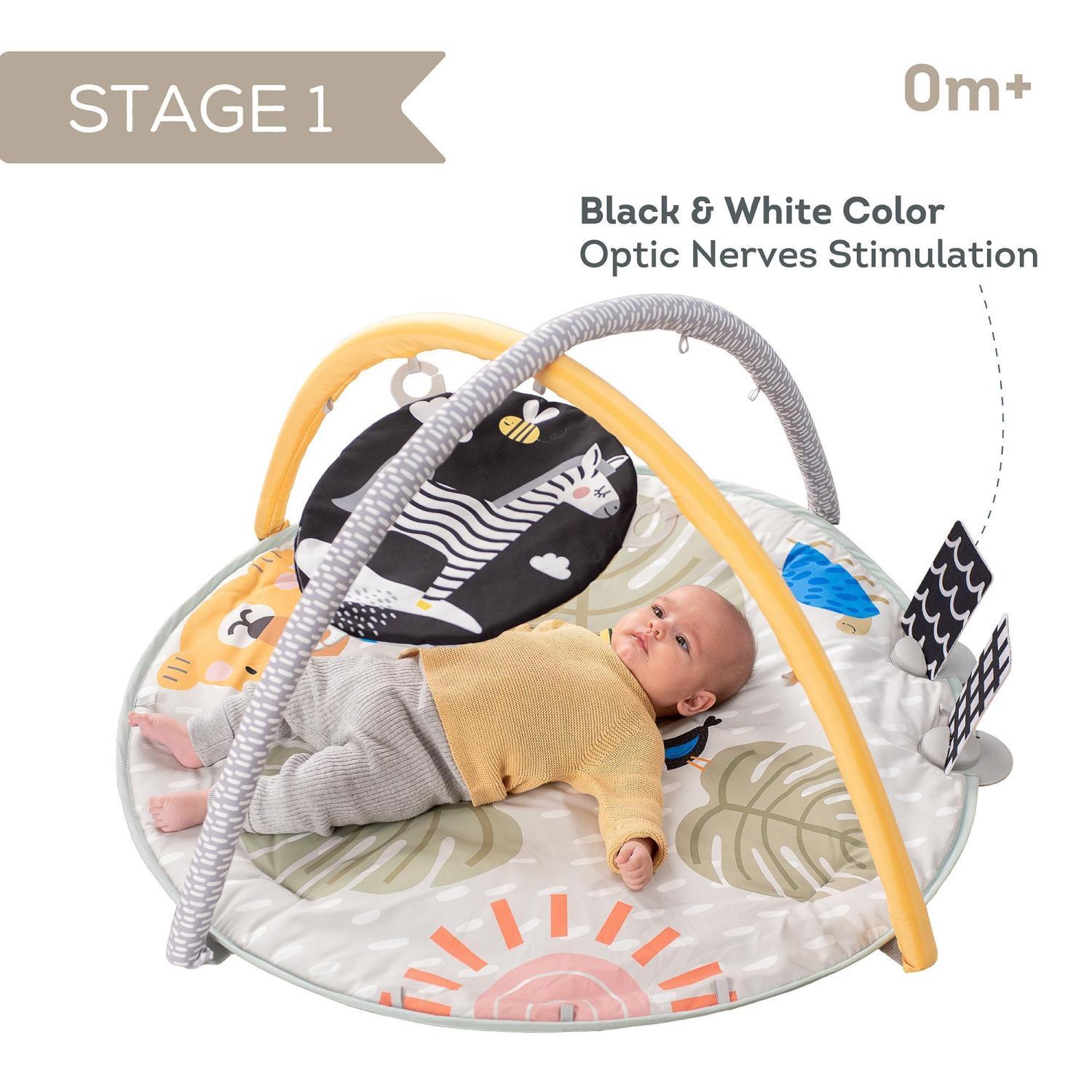 2EMRyo_1769696713_35171_279_0_pck.jpg taf toys savannah babygym/lekematte