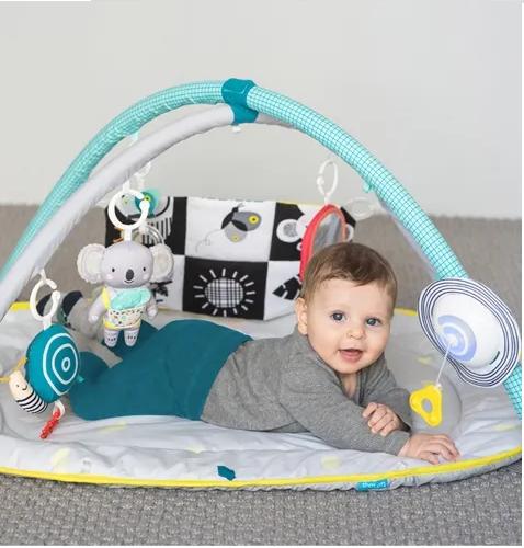 pas9Ee_1771944998_35480_724_0_pck.jpg baby gym taf toys all around me